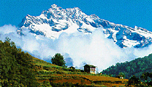 Himalayan Tours