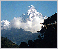 Machapuchare the Fish Tail peak. 