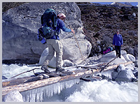 Carefully across the icy log bridge !!