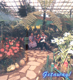 Flower Show - Gangtok.