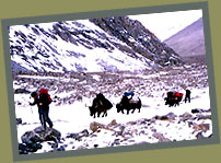 Around Kailash Trek.